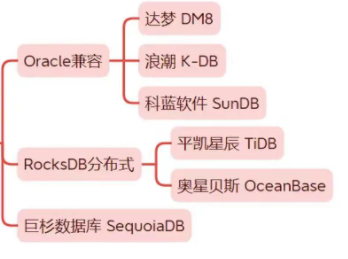 真自主研发