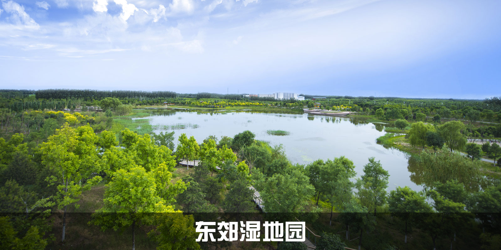 北京东郊湿地公园